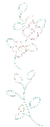 写真の横の花の画像