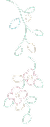 写真の横の花の画像